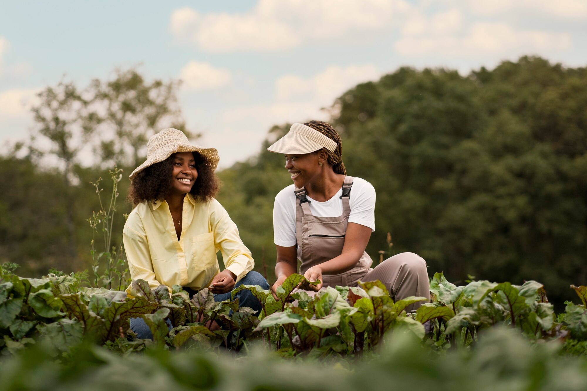 Farmers working in the field